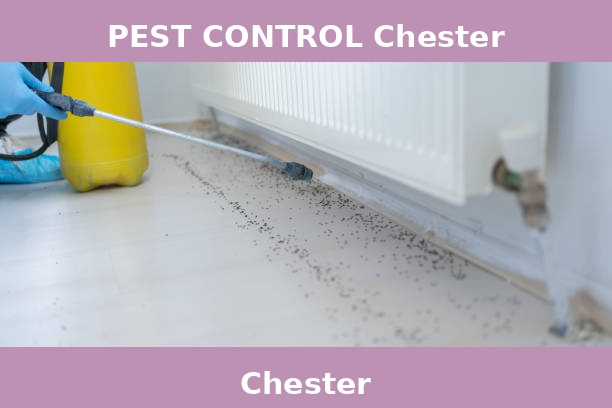 PEST CONTROL Chester